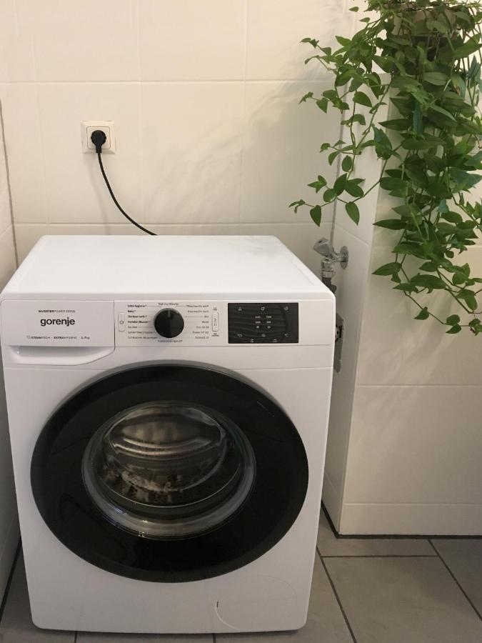 Ruhige Wohnung In Zentraler Lage - Quiet Flat In A Central Location Magdeburg Eksteriør bilde